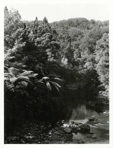 Ko Mangakahia te awa - a reminder of home and a childhood obsession