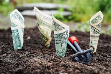 Lower Your Payroll Costs With Pool and Landscaping Time Tracking Software Lower Your Payroll Costs With Pool and Landscaping Time Tracking Software