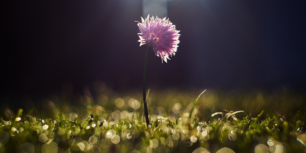 The Silent Construction Killer That No One Talks About