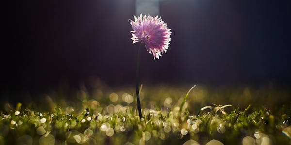 The Silent Construction Killer That No One Talks About The Silent Construction Killer That No One Talks About