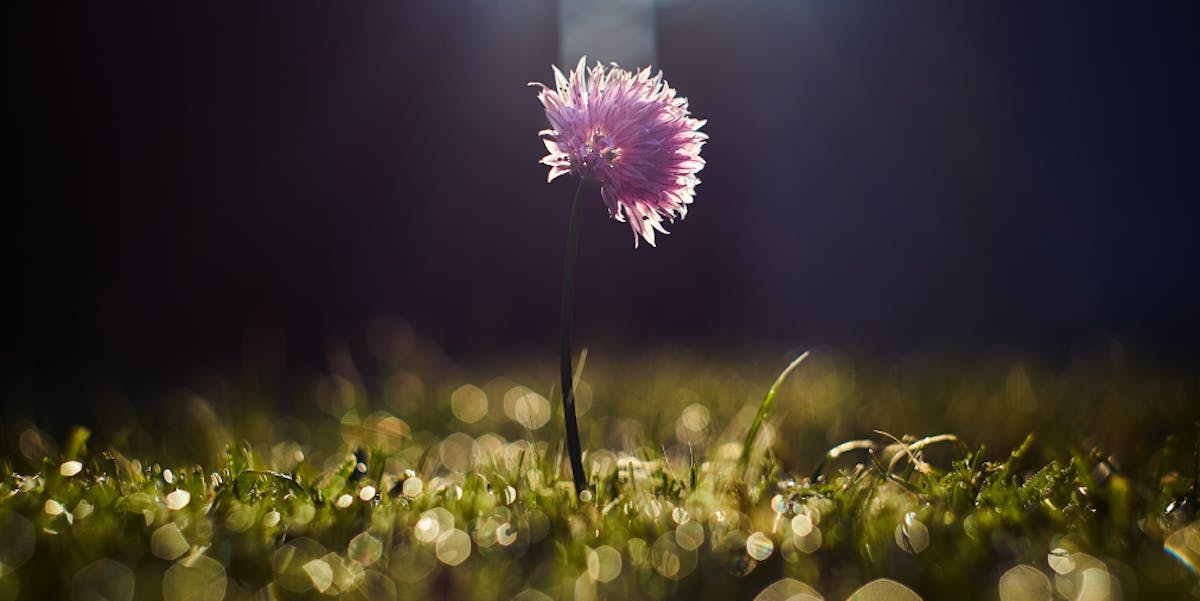 The Silent Construction Killer That No One Talks About The Silent Construction Killer That No One Talks About