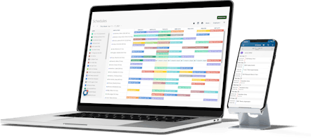 time attendance software