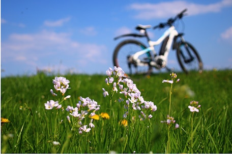 E-BIKEN in den NOCKBERGEN
