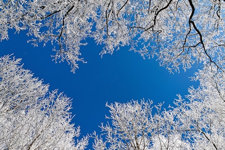 Winterzauber in Saalbach