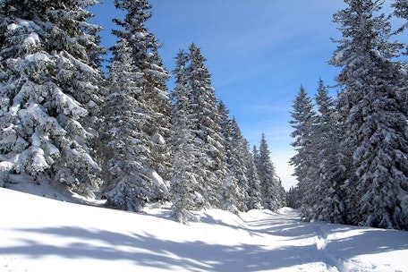 Wintertage in Schladming