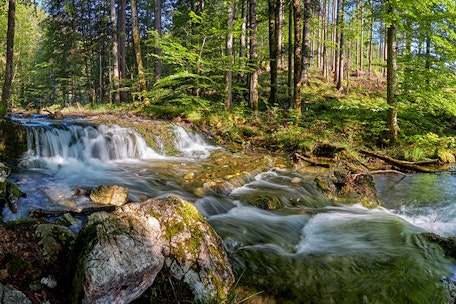 ERLEBNISSE im PAZNAUN