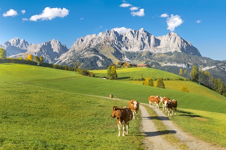 URLAUB in den KITZBÜHELER ALPEN