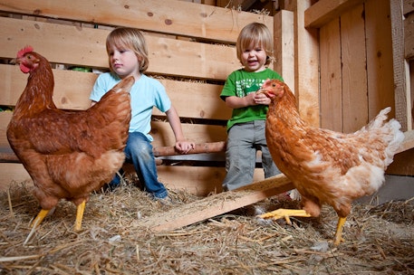 Tierischer Familienurlaub in Tieschen