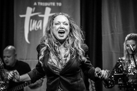 Niddl - Tribute to Tina Turner