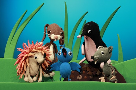 Der kleine Vogel Tikidu