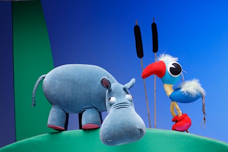 Achtung, hier kommt ein Nilpferd!