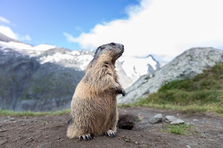 Gipfelzauber - Alpen‑Highlights  inklusive Großglockner