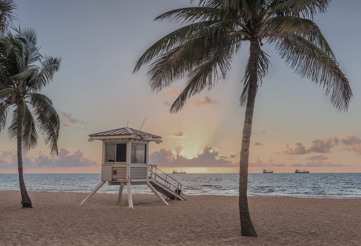 beach with sunset and palm trees