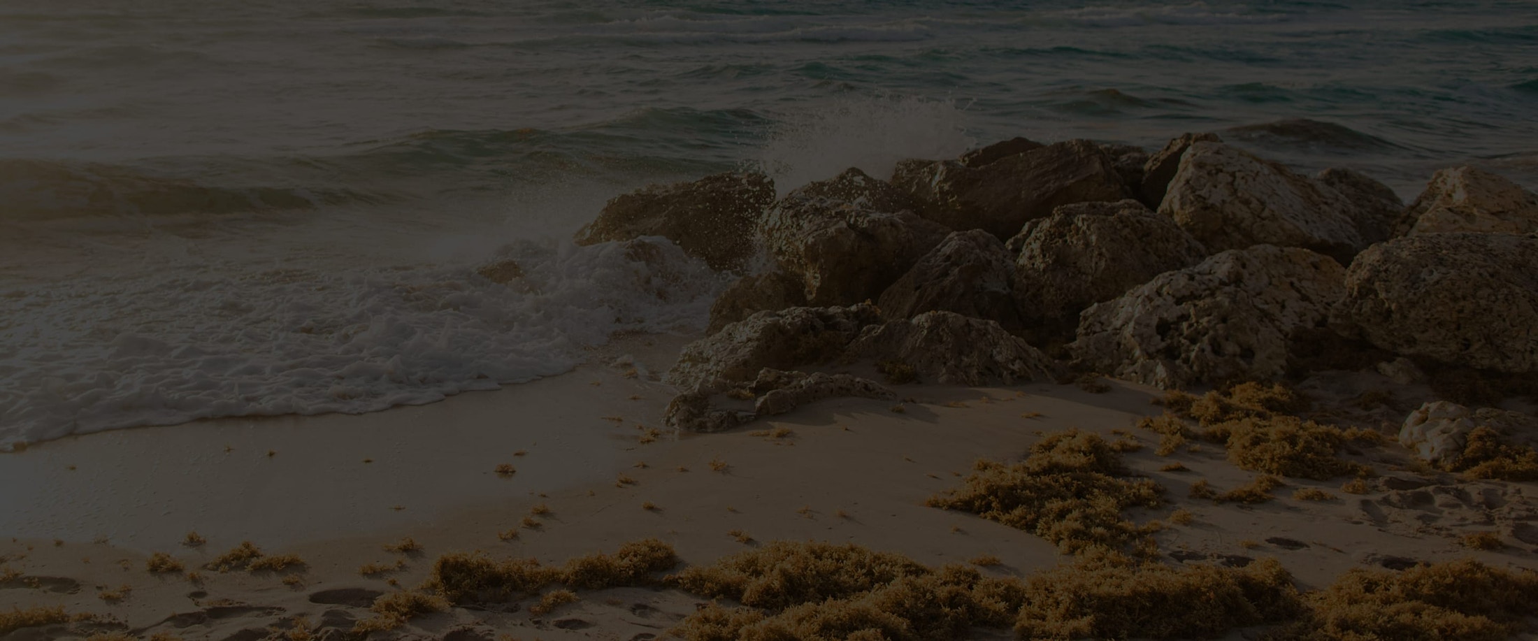 Banner media