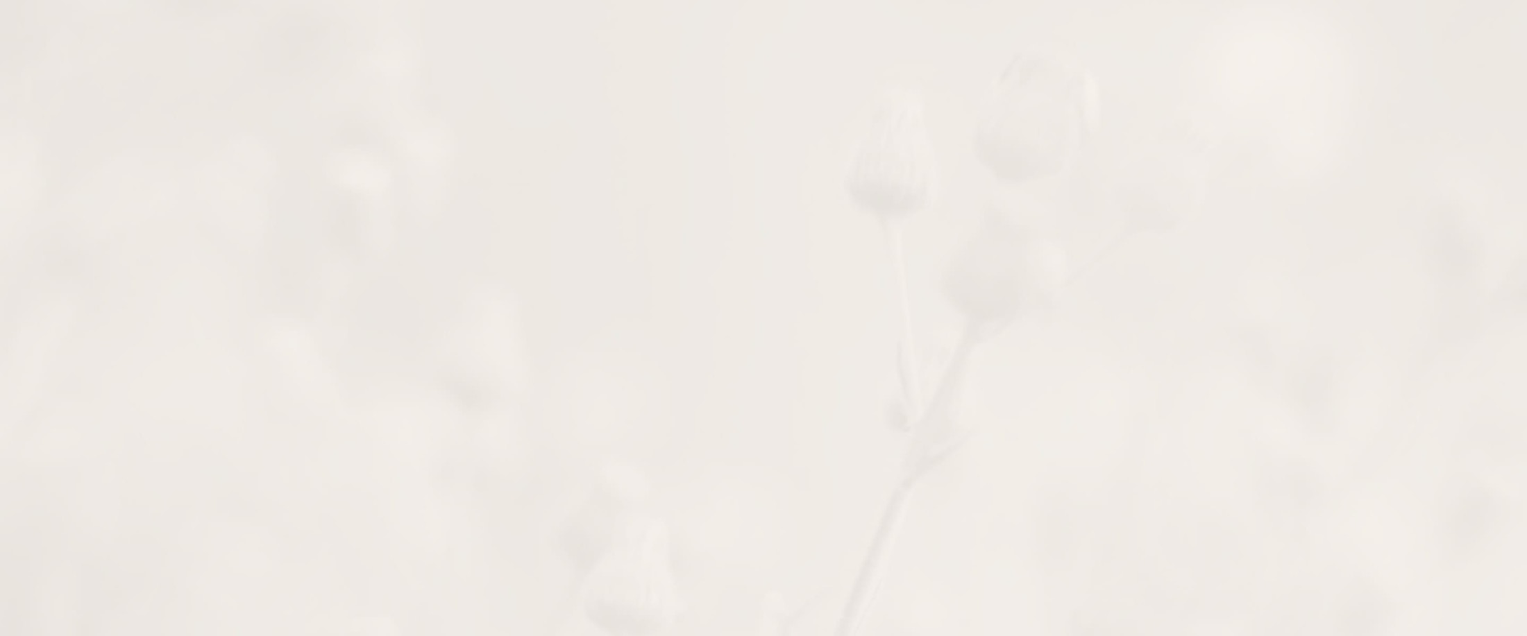 Banner media