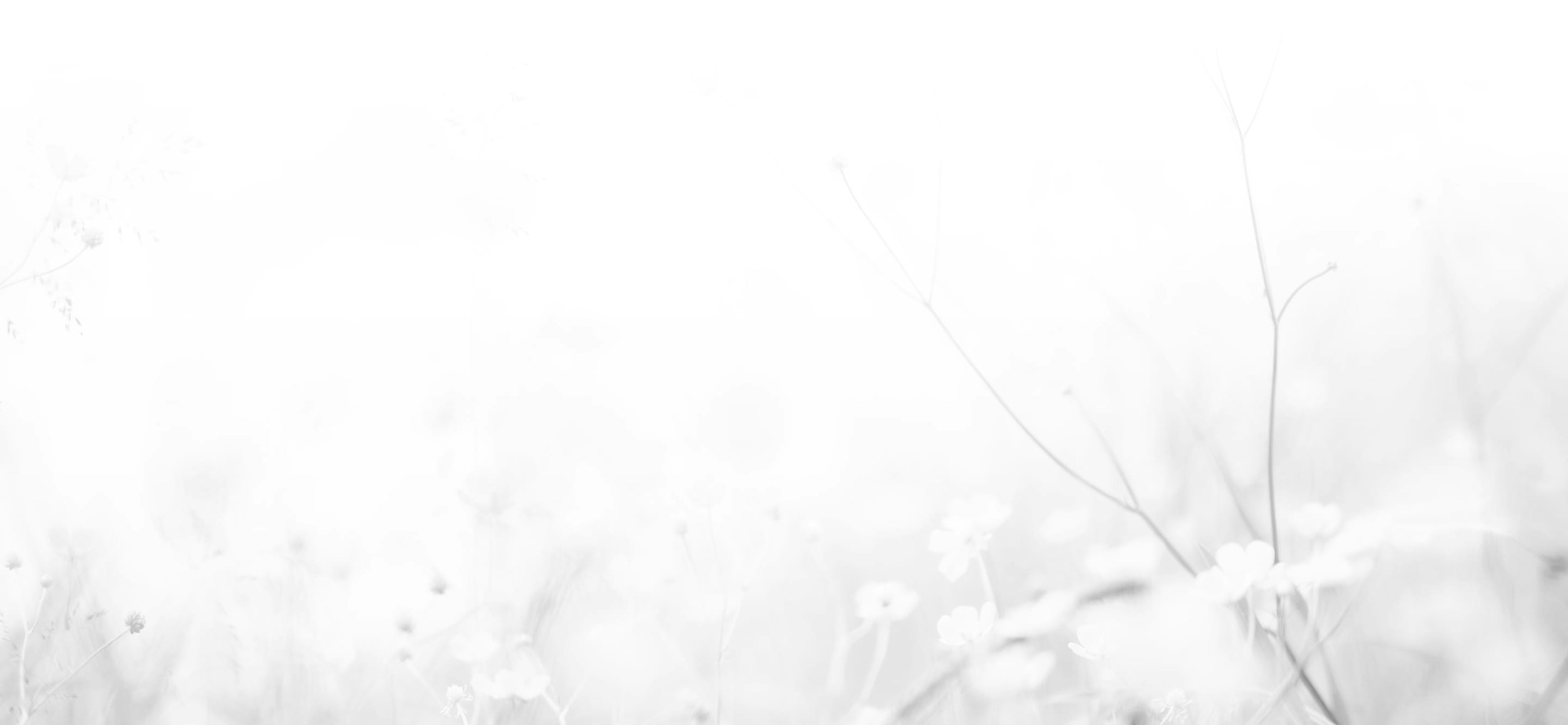 Background media