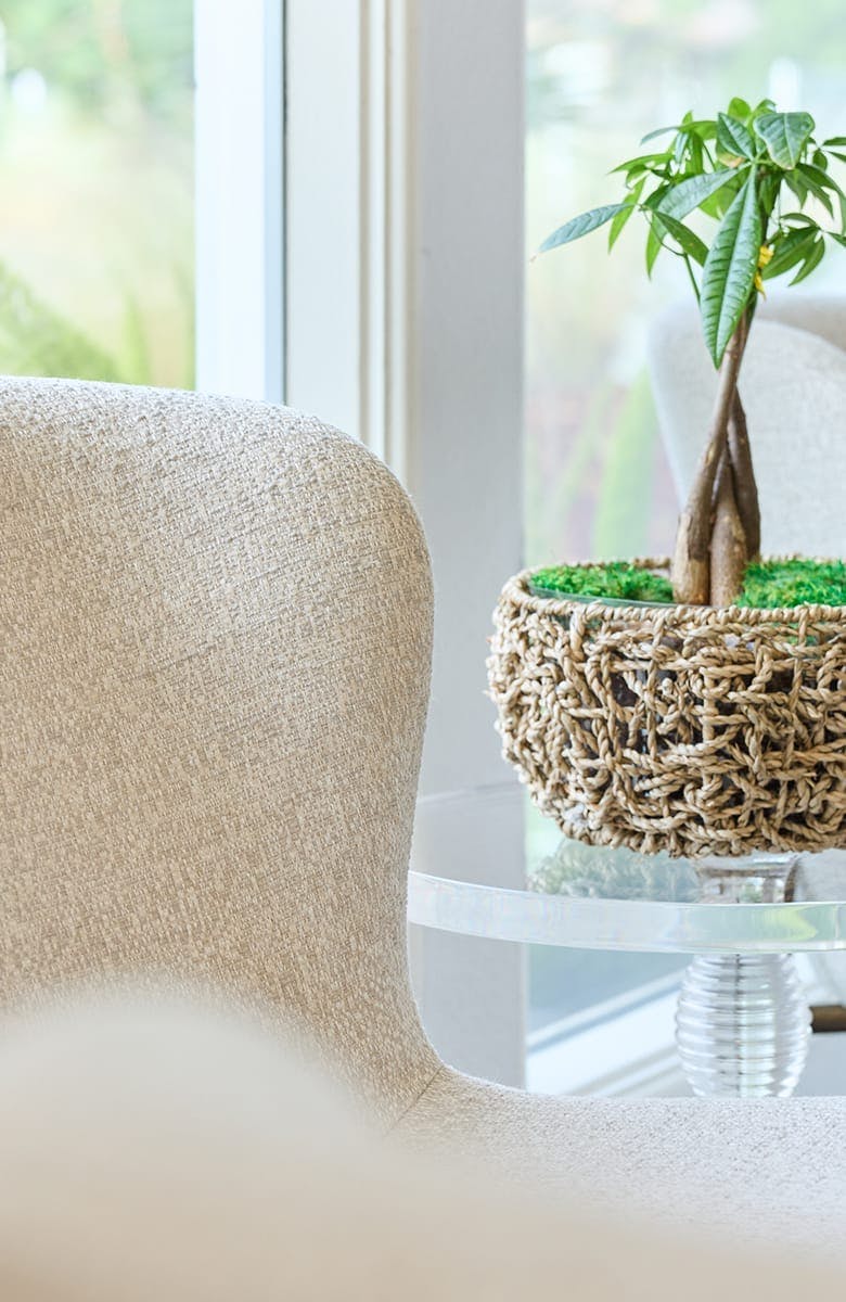 white chair next to a plant