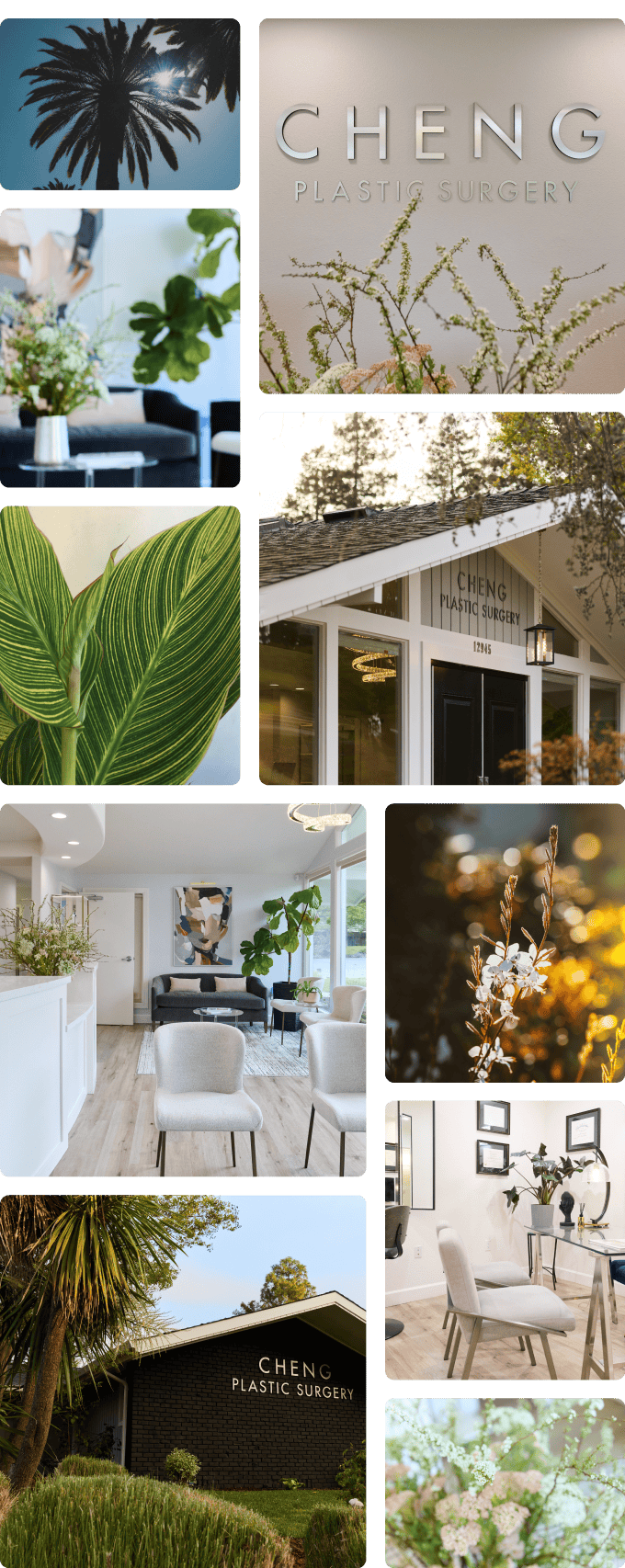 collage of photos