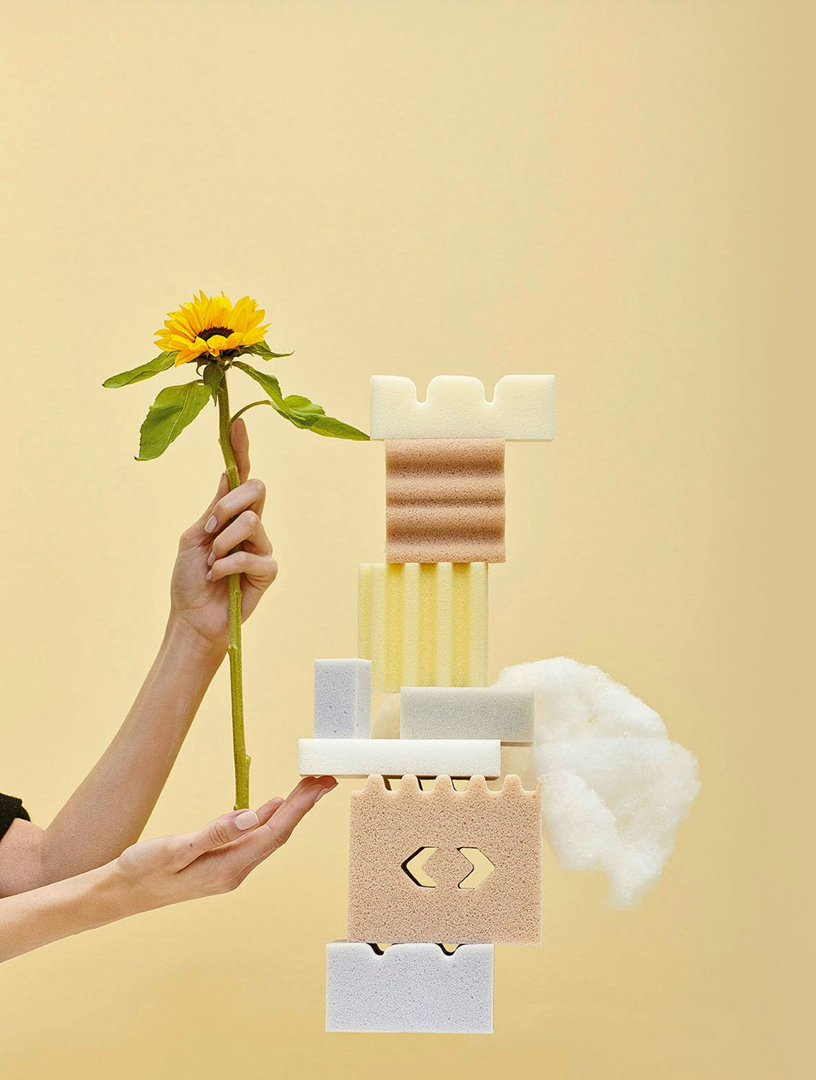 Mani che reggono un girasole accanto a una torre di spugne colorate su sfondo beige.