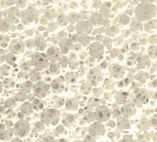 Superficie beige con texture irregolare e porosa simile a un materiale espanso o schiumoso.