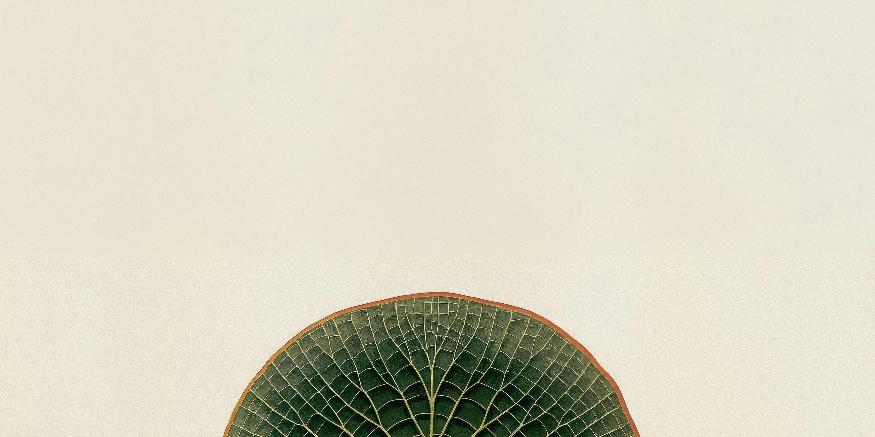 Parte superiore di una foglia verde con venature definite su sfondo beige uniforme.