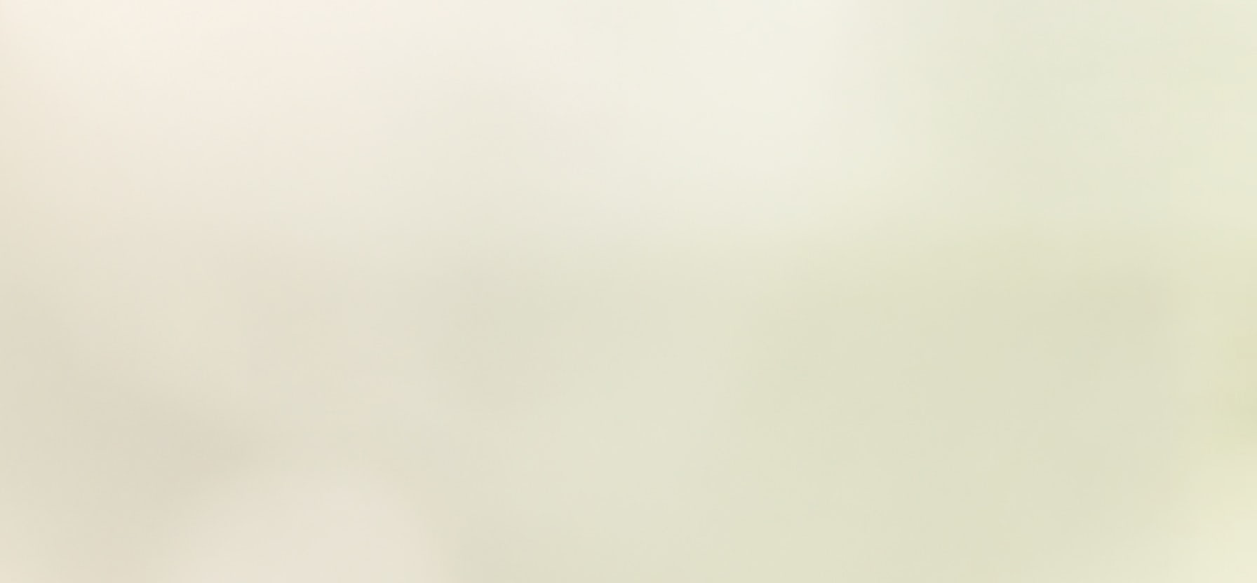 Persona con casco e giubbotto arancione su un ovetto giallo per cani in un ambiente chiaro e sfocato.