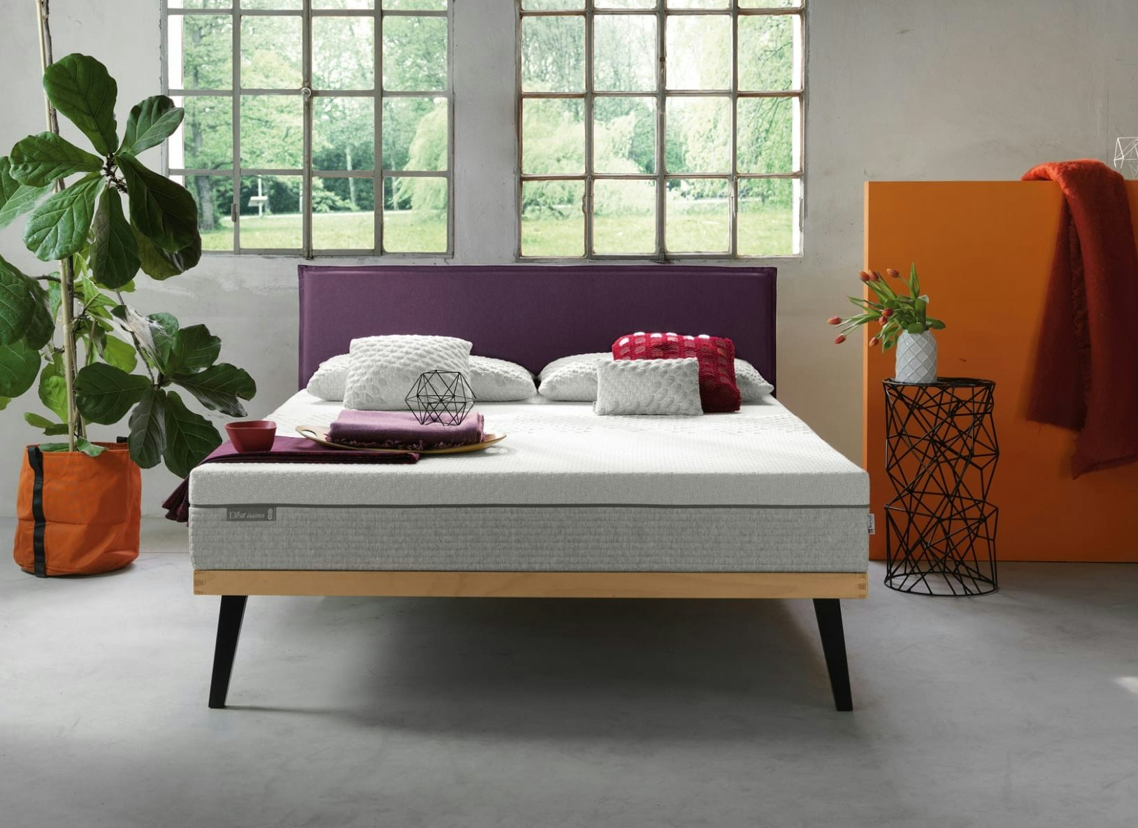 Letto matrimoniale moderno con testiera viola, cuscini bianchi e rossi, pianta verde a sinistra e vaso con tulipani…