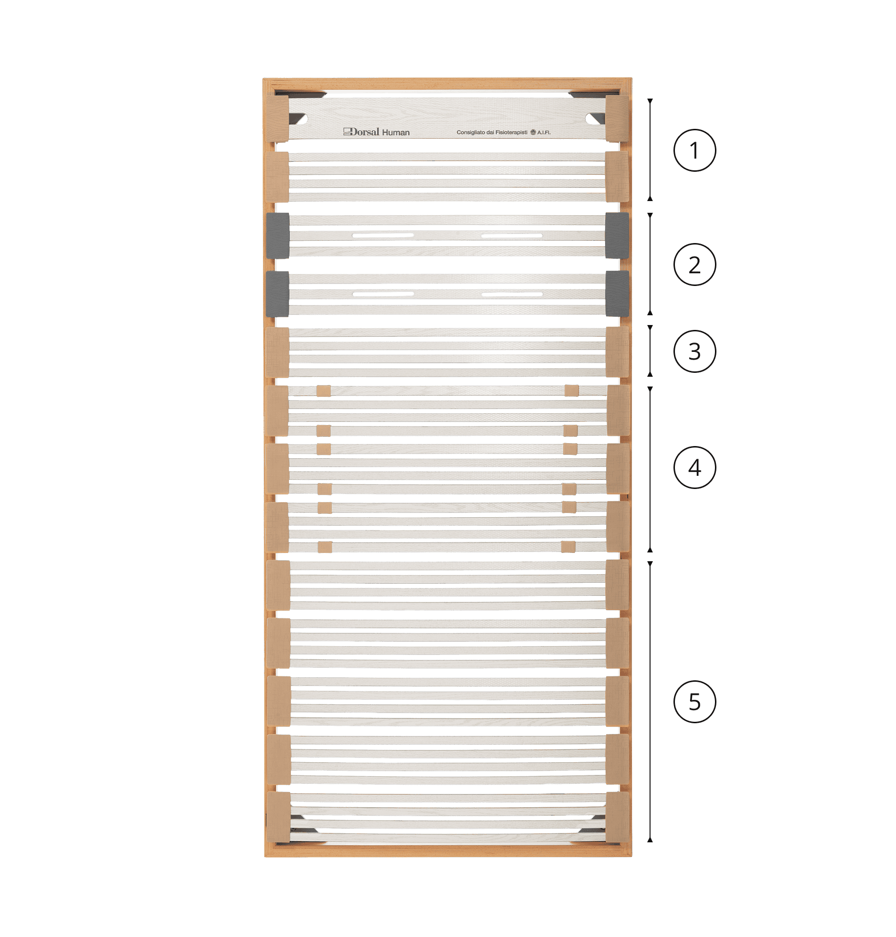Rete ortopedica a doghe in legno con cinque zone di supporto numerate da 1 a 5, con cinghie e rinforzi laterali.