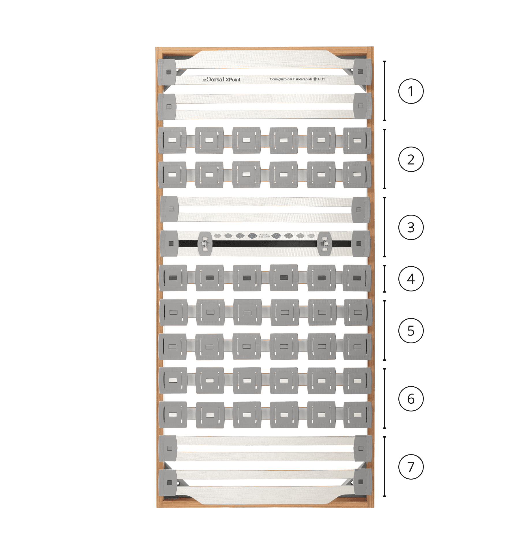Struttura letto Dorsal XPoint con supporti elastici grigi, listelli di legno curvati e sette sezioni numerate ai lati.