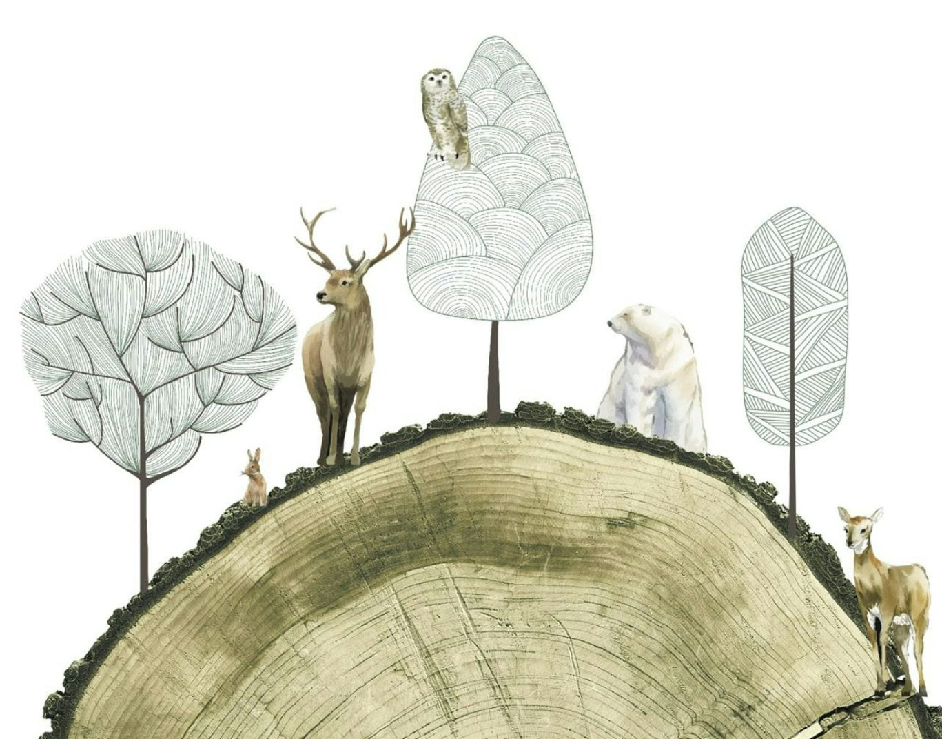Sezione di tronco con animali selvatici e alberi stilizzati disegnati sopra, tra cui cervo, orso polare e civetta.
