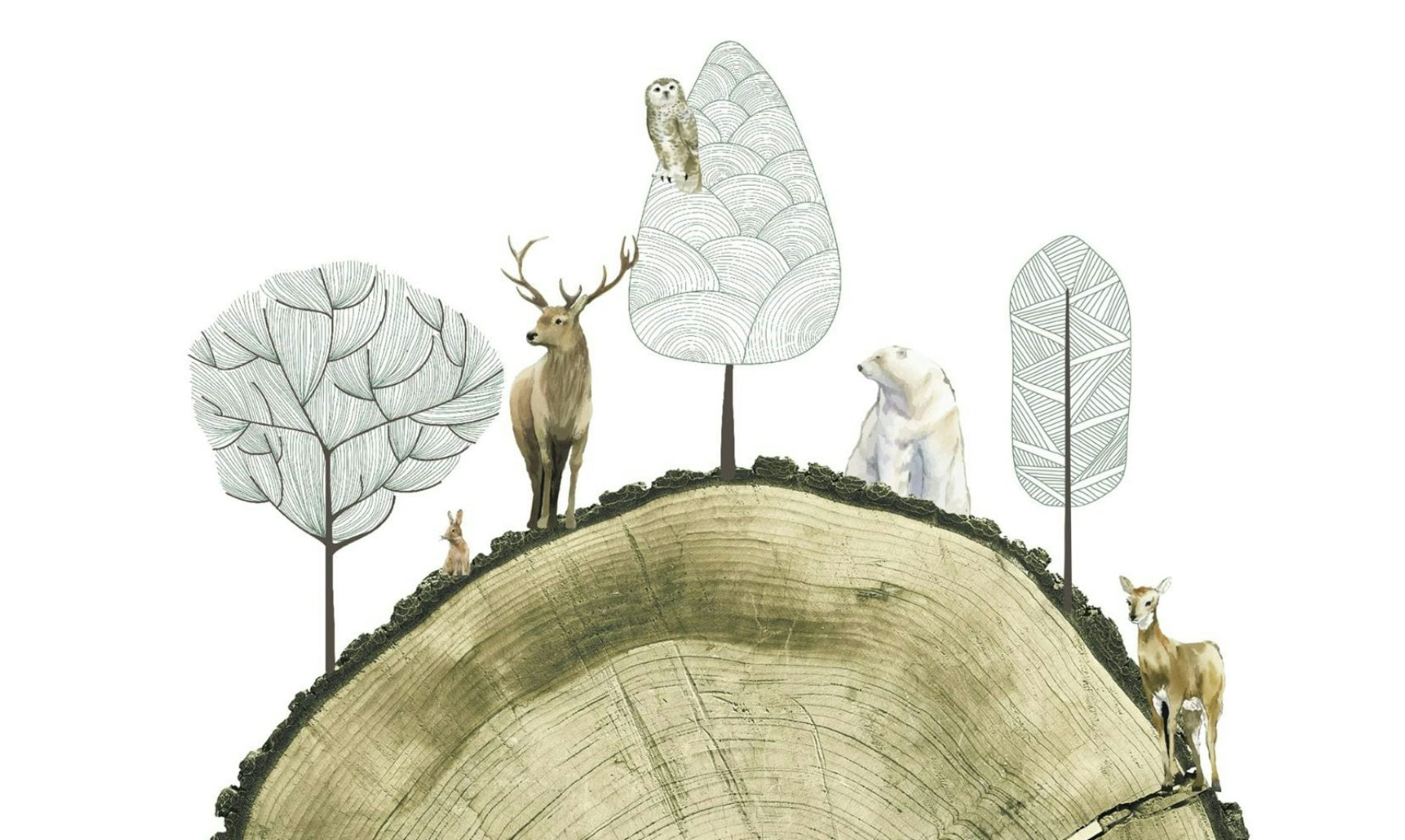 Sezione di tronco con animali selvatici e alberi stilizzati disegnati sopra, tra cui cervo, orso polare e civetta.