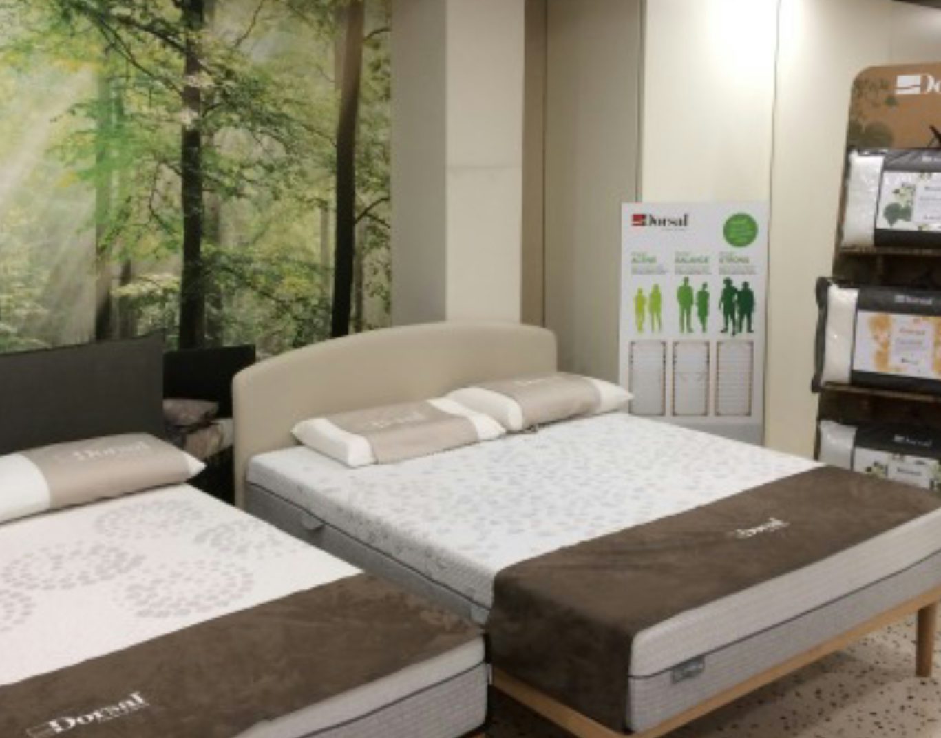 Due letti matrimoniali con cuscini ortopedici e copriletti marroni in negozio con parete decorata da paesaggio boschivo.