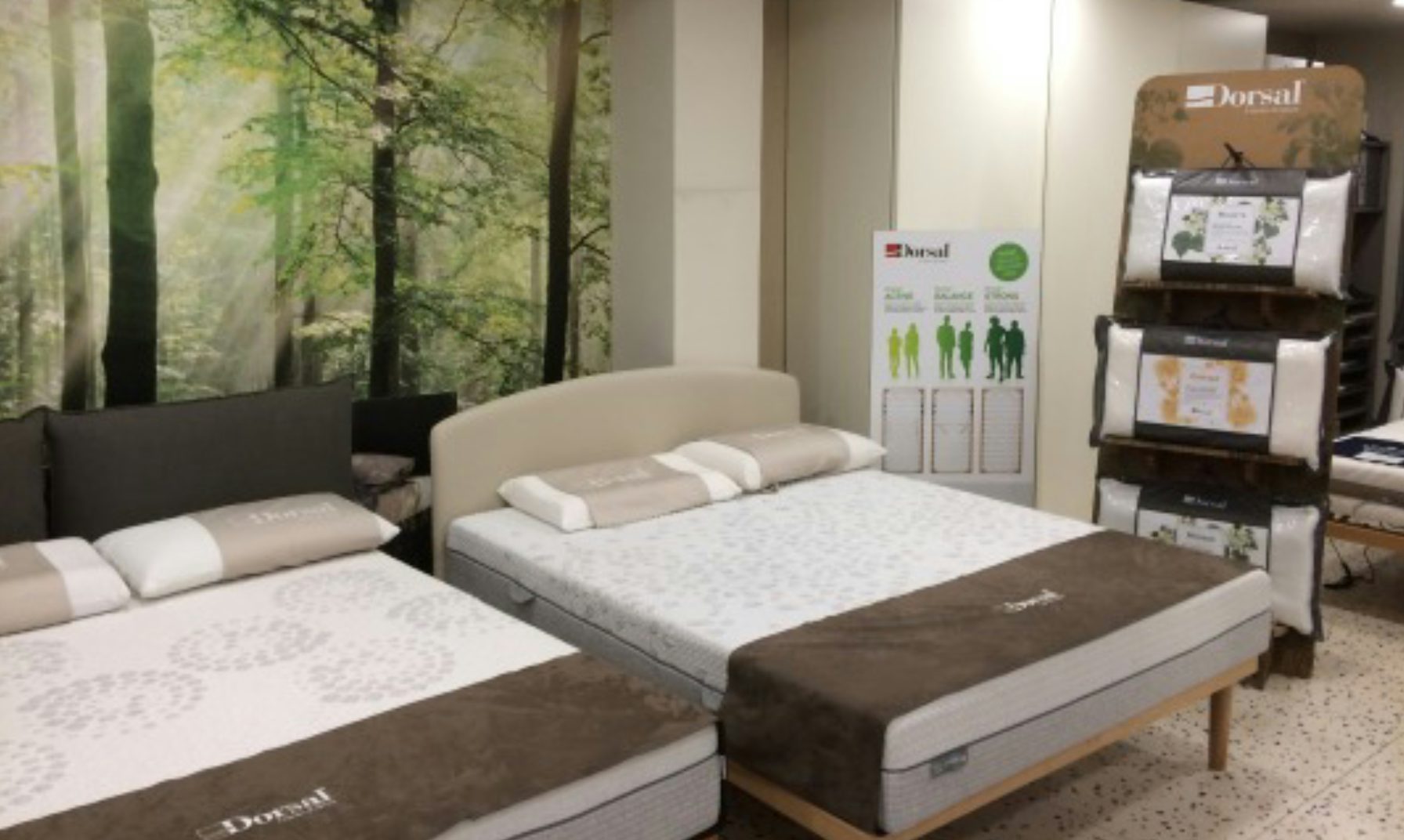 Due letti matrimoniali con cuscini ortopedici e copriletti marroni in negozio con parete decorata da paesaggio boschivo.