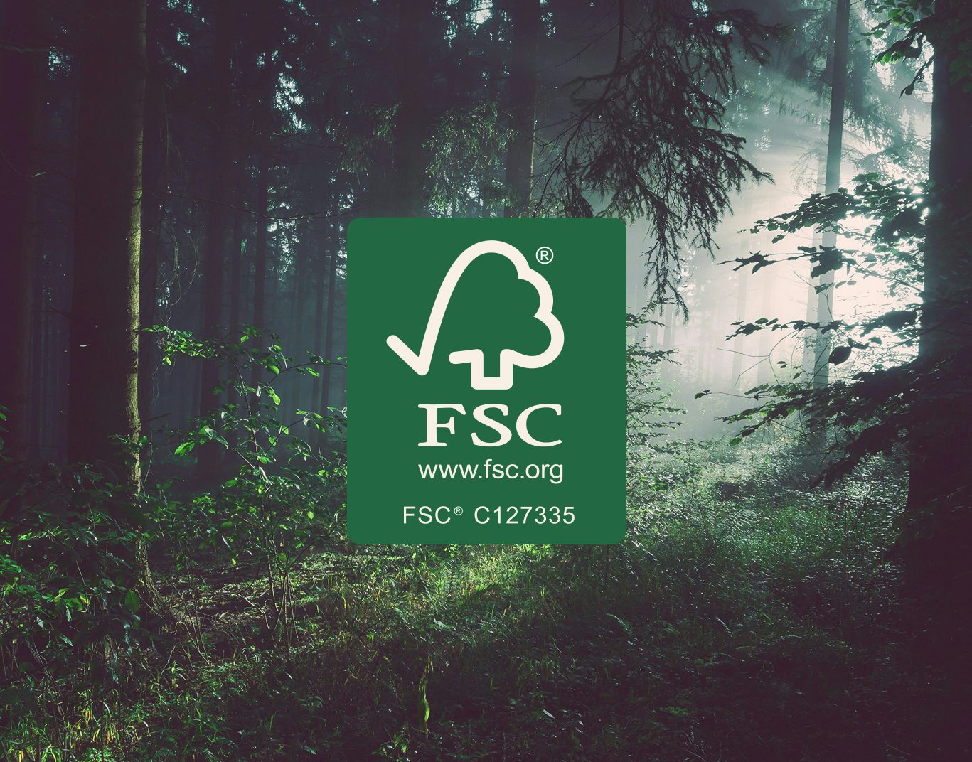 Foresta verde e folta con luce che filtra tra gli alberi e logo FSC con sito web e codice identificativo.