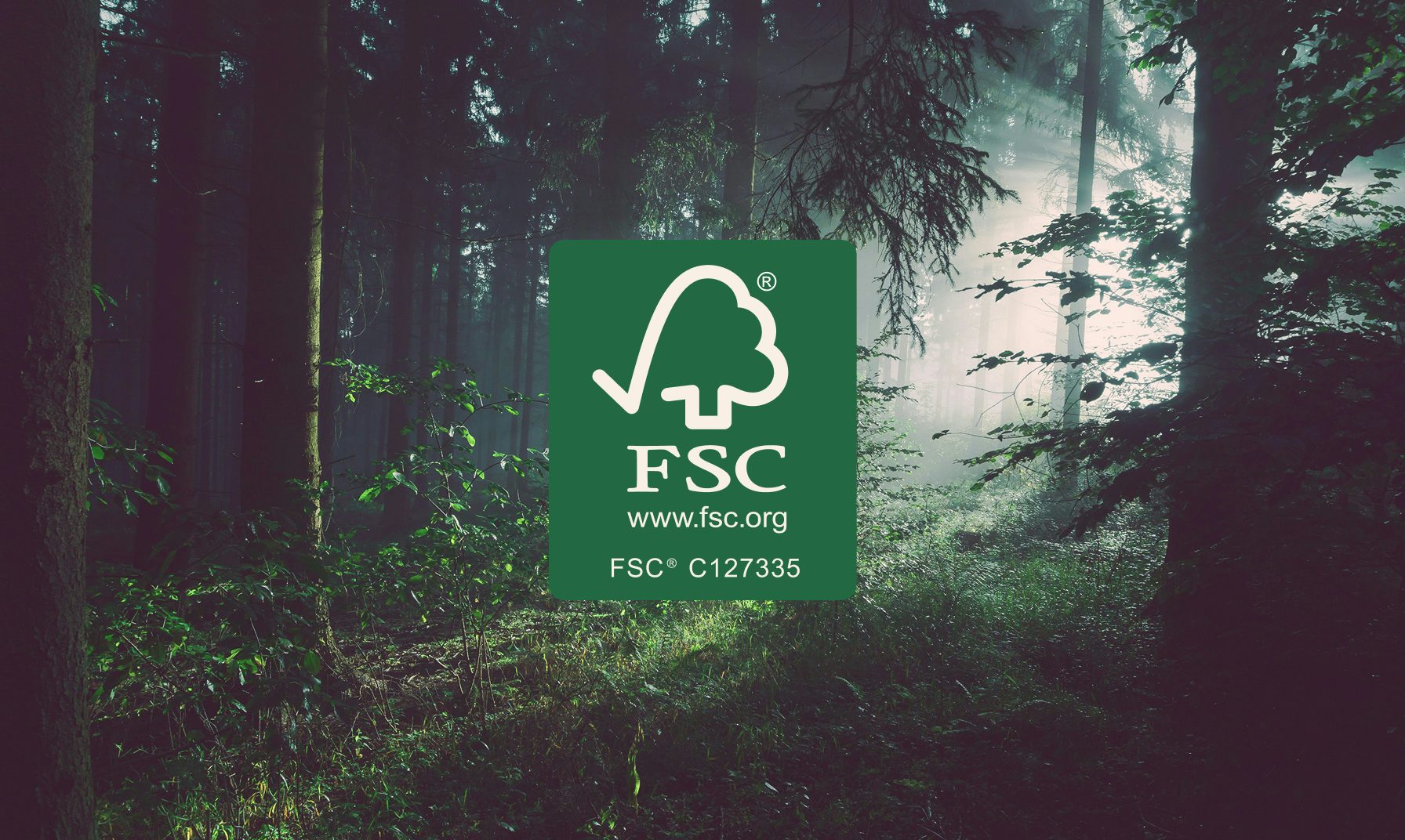 Foresta verde e folta con luce che filtra tra gli alberi e logo FSC con sito web e codice identificativo.