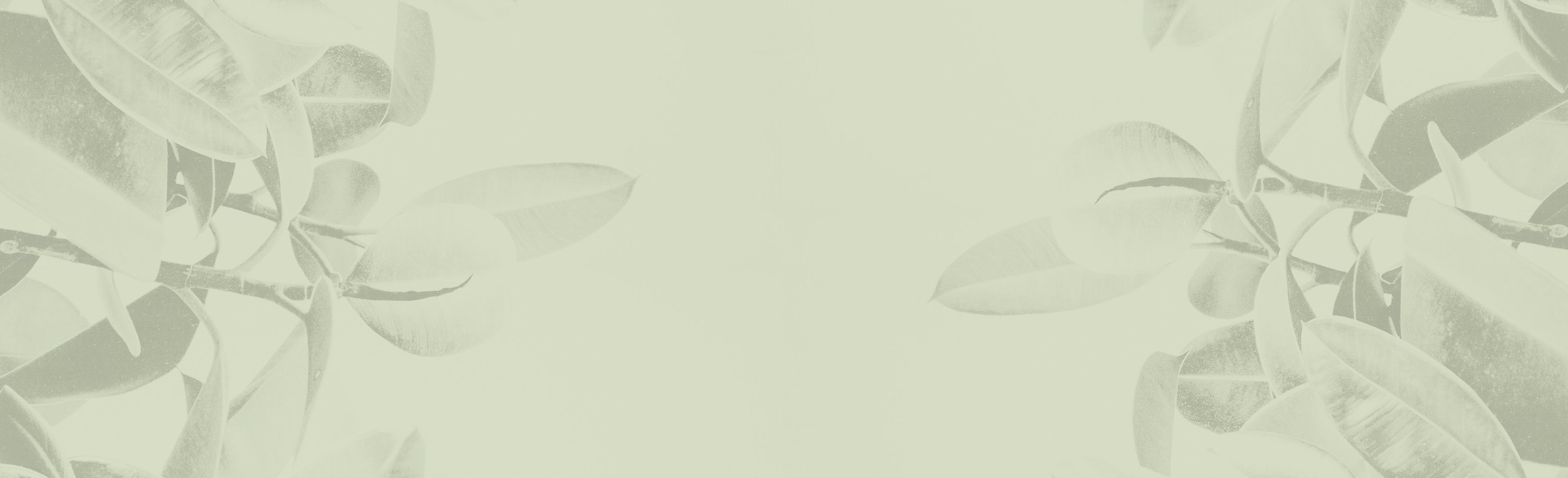 Foglie verdi leggermente sfocate ai lati con sfondo chiaro e neutro al centro.