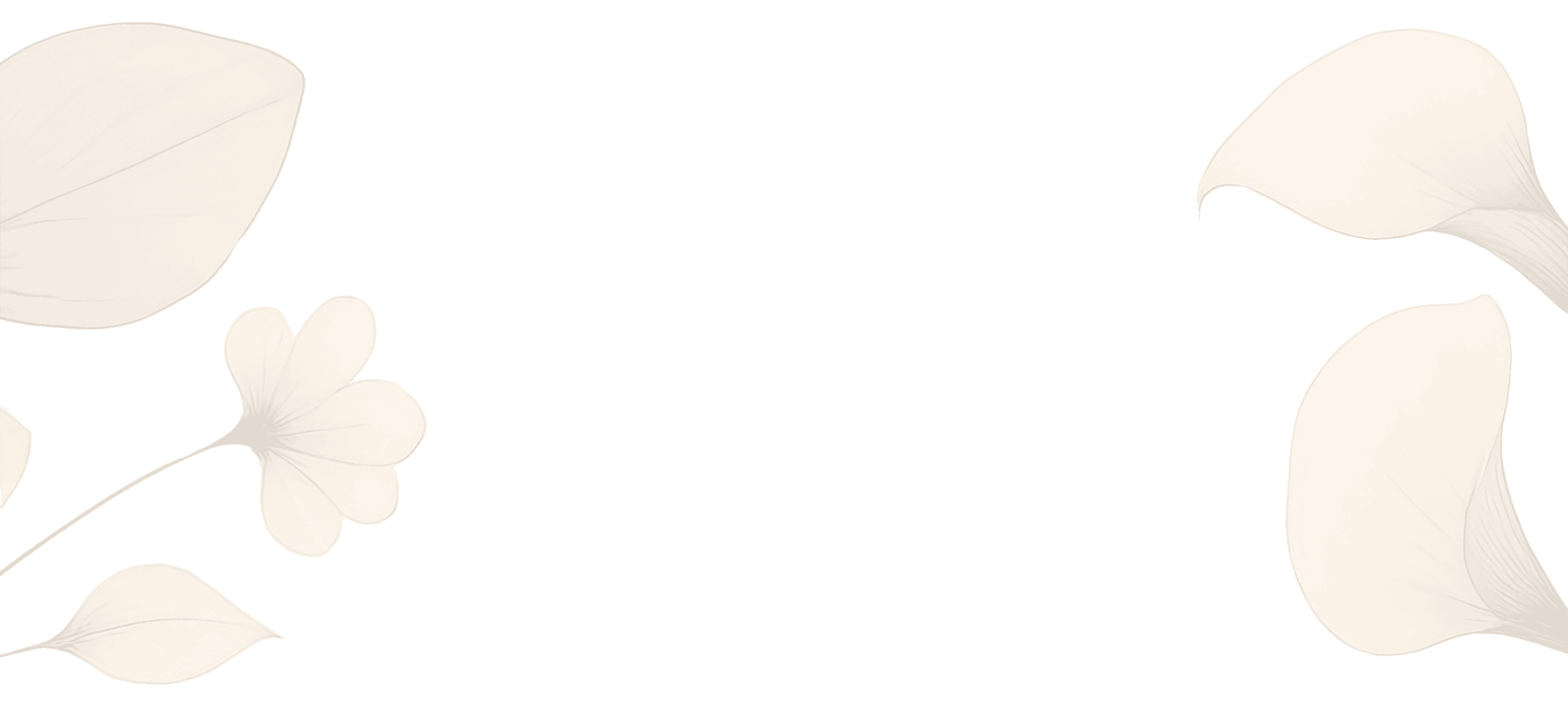 Petali bianchi stilizzati e foglie sfumate disposte agli angoli su sfondo trasparente nero