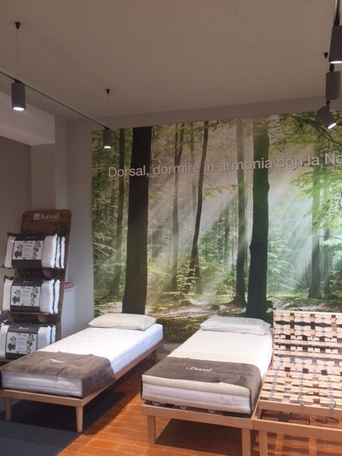 Camere con letti singoli Dorsal, parete decorata con foto di bosco illuminato dalla luce del sole.
