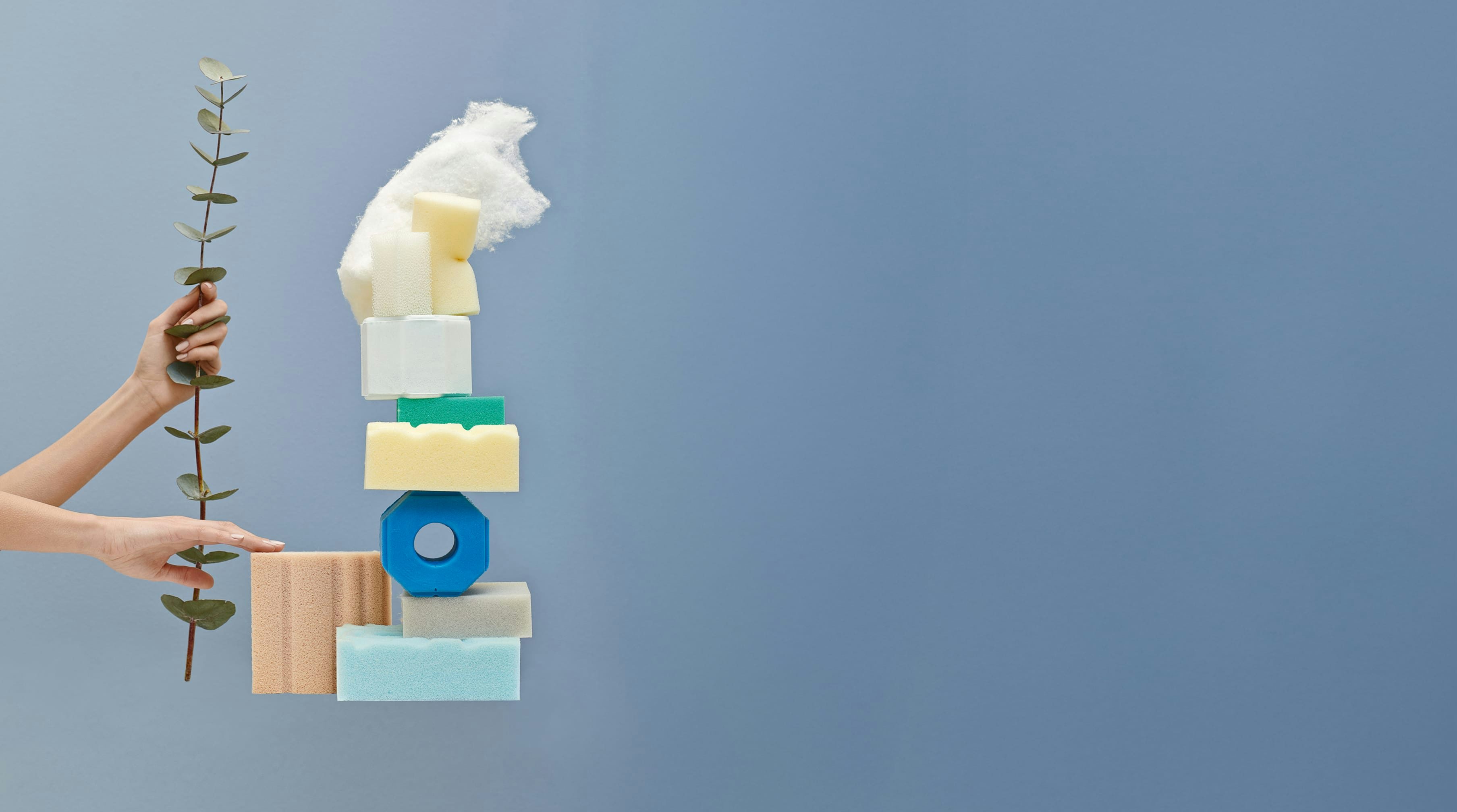 Mani tengono un ramoscello verde accanto a una pila di spugne di diversi colori e una nuvola bianca su sfondo azzurro.