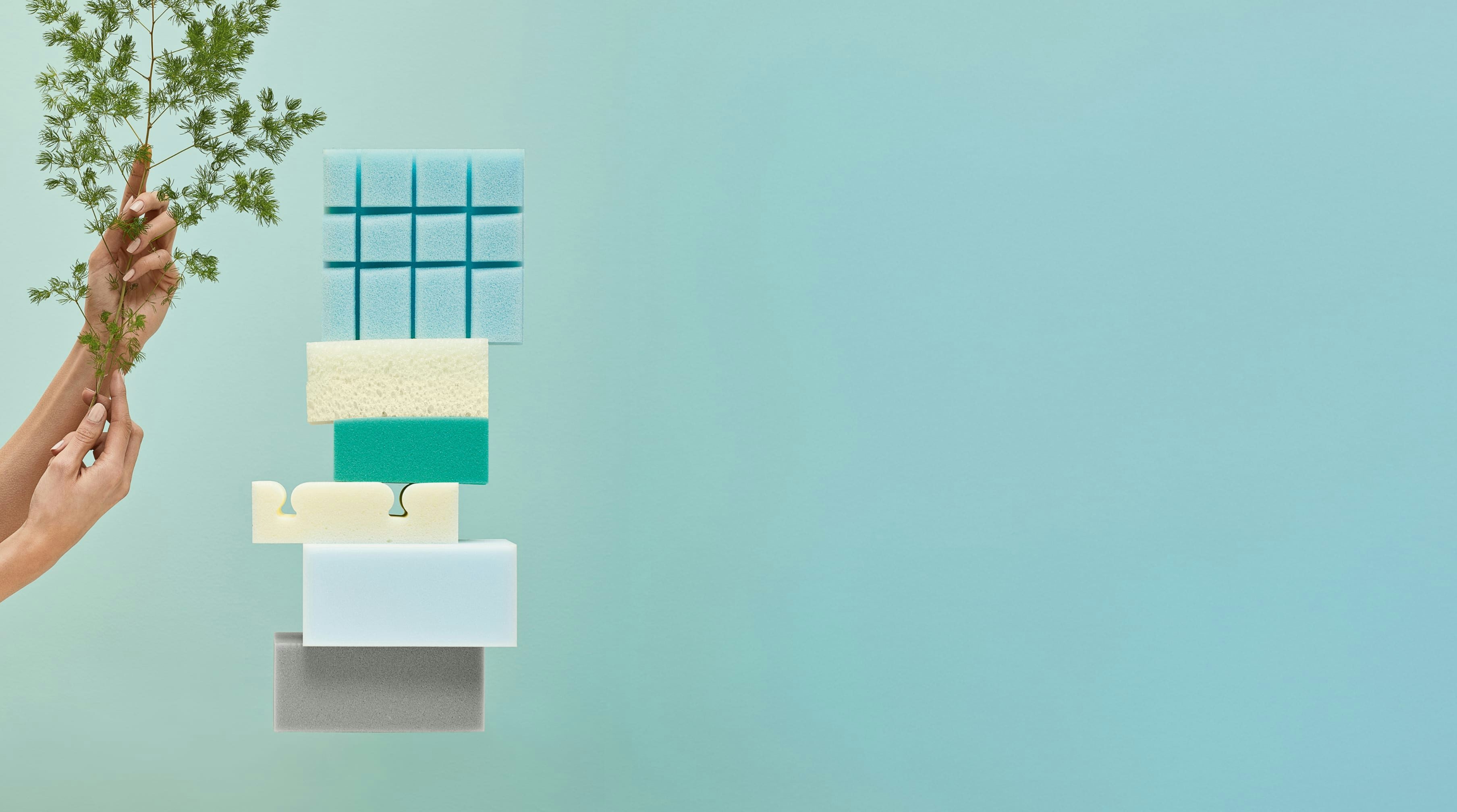 Mani che reggono un rametto verde accanto a una pila di spugne di diversi colori su sfondo celeste.