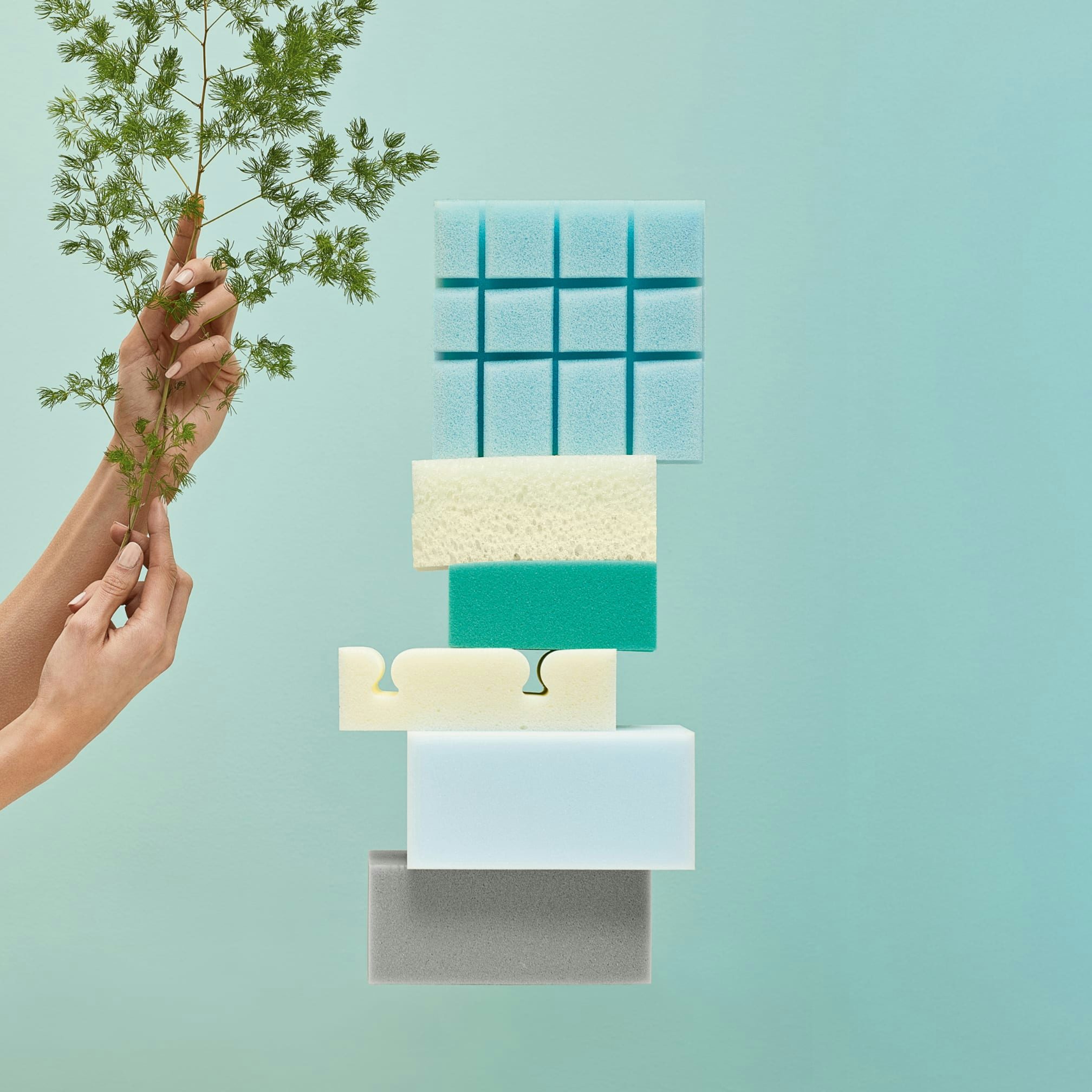 Mani che reggono un rametto verde accanto a una pila di spugne di diversi colori su sfondo celeste.
