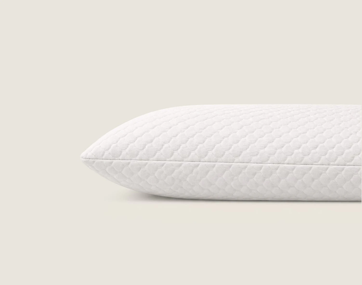 Foderina in botanic bamboo