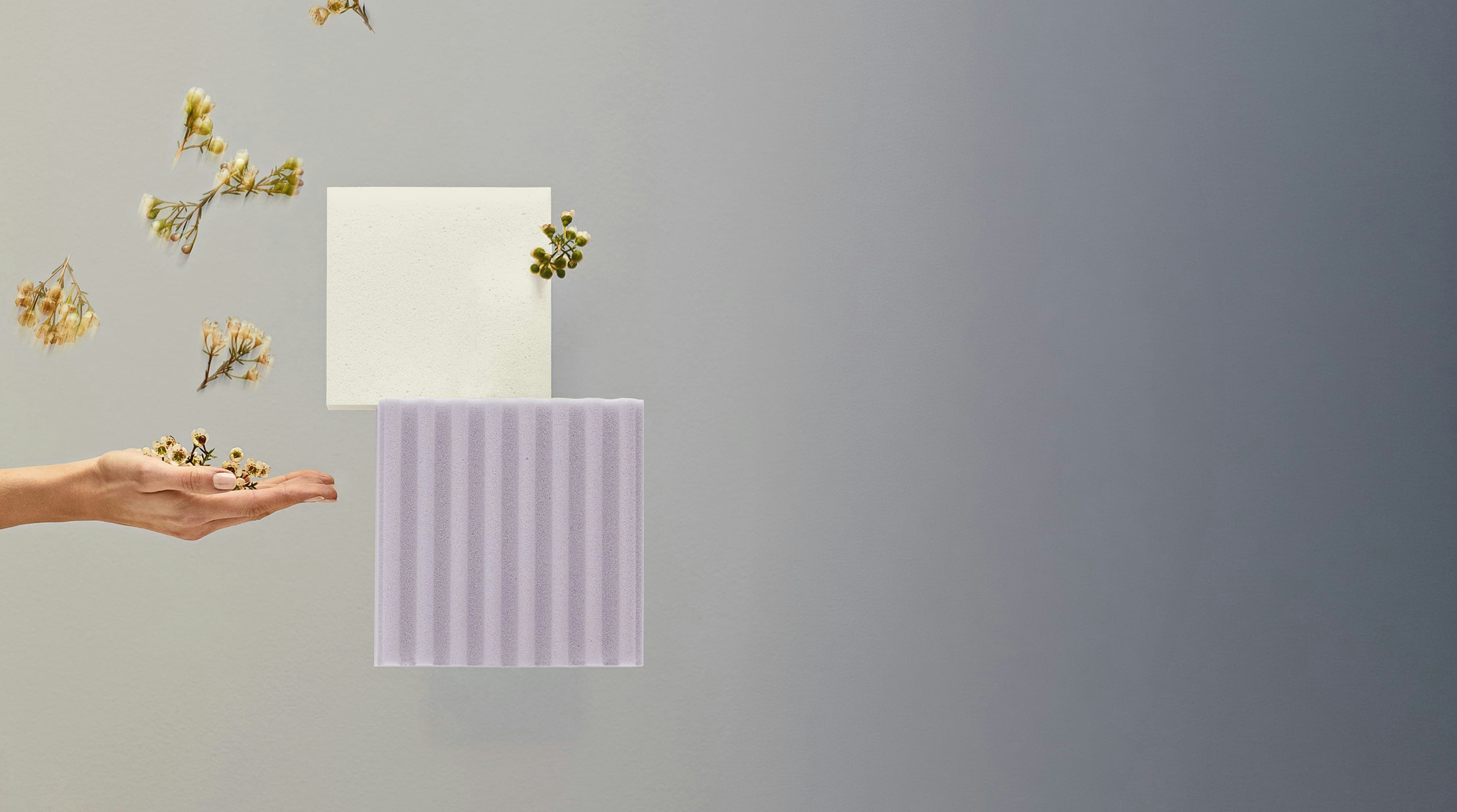 Mano con fiori bianchi secchi sospesi vicino a cubi minimalisti di materiali bianchi e lilla su sfondo grigio.