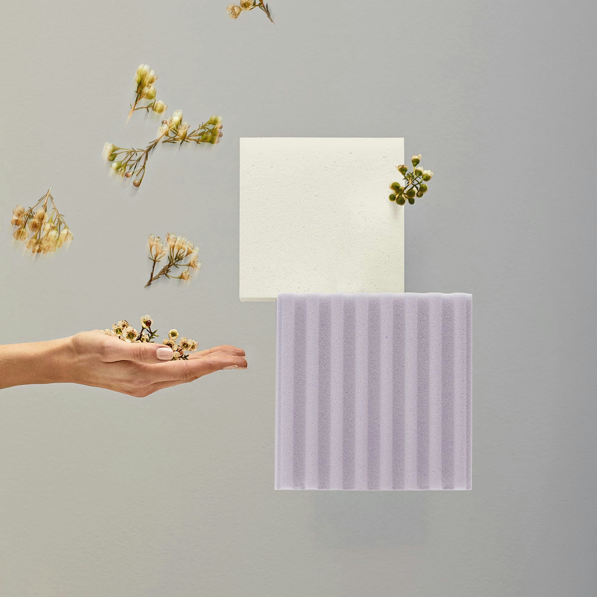 Mano con fiori bianchi secchi sospesi vicino a cubi minimalisti di materiali bianchi e lilla su sfondo grigio.