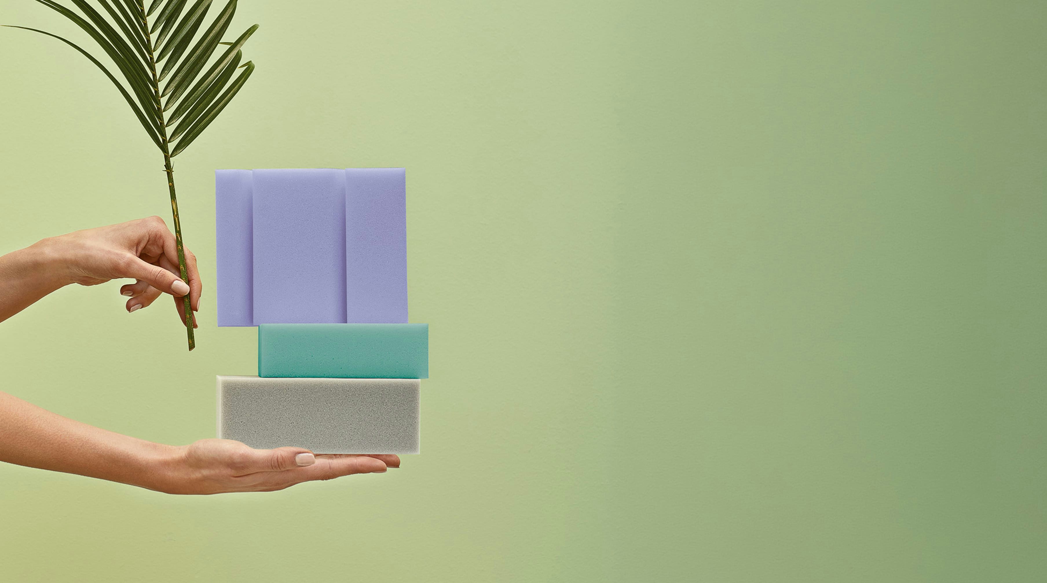 Mani che reggono una foglia di palma e tre blocchi di spugna colorati impilati su sfondo verde chiaro.