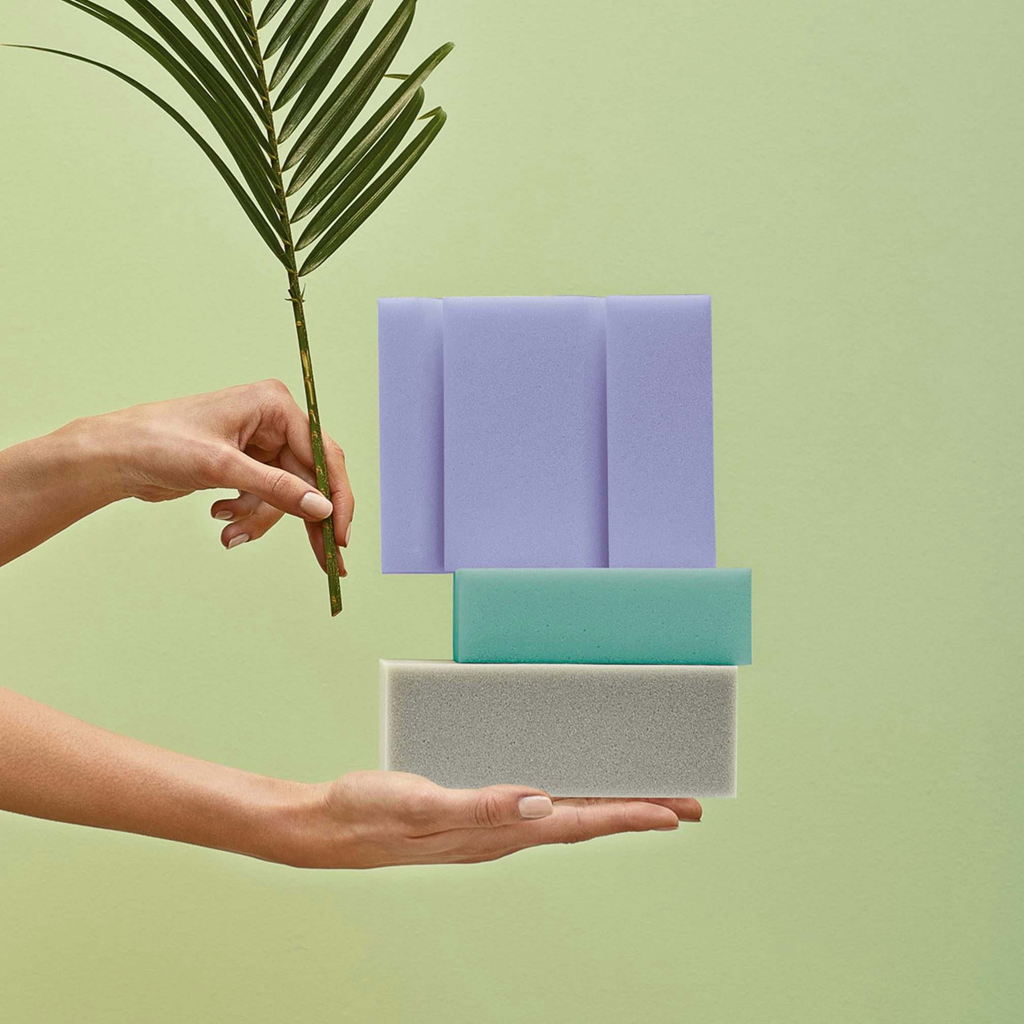 Mani che reggono una foglia di palma e tre blocchi di spugna colorati impilati su sfondo verde chiaro.