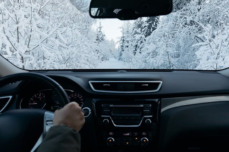 A person driving through snowy trees