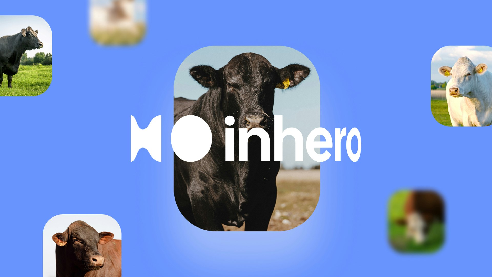 Inhero