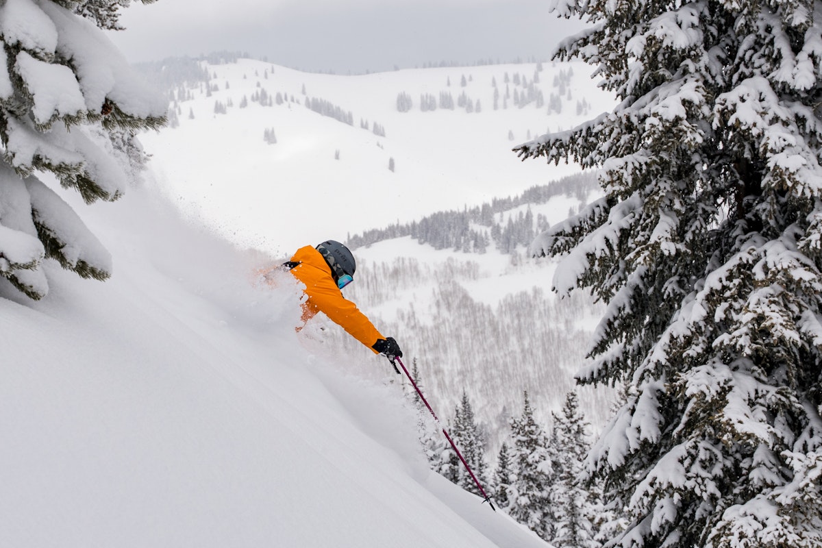 Your Public Lands Could be For Sale—Here's What You Need to Know