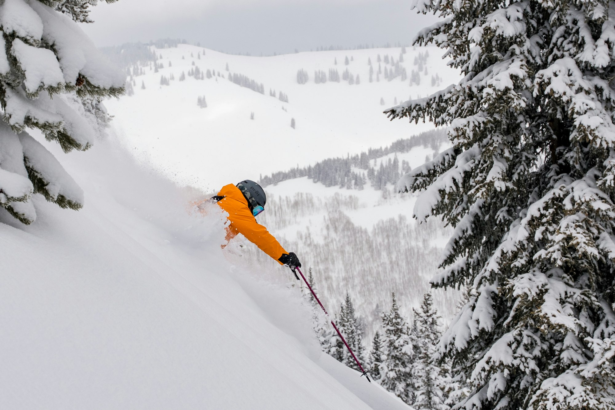 Your Public Lands Could be For Sale—Here's What You Need to Know